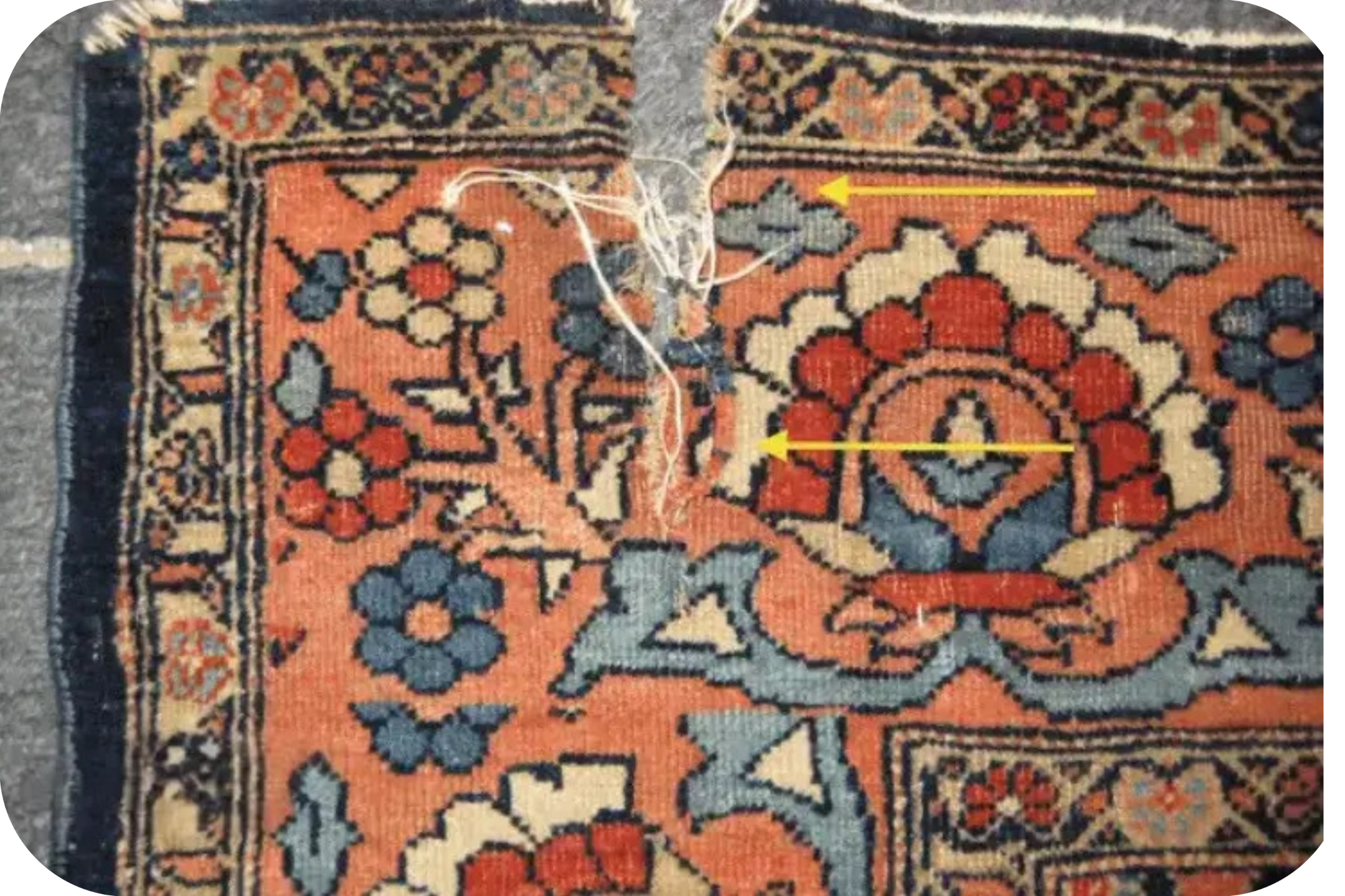 پوسیدگی فرش به چه عواملی بستگی دارد؟